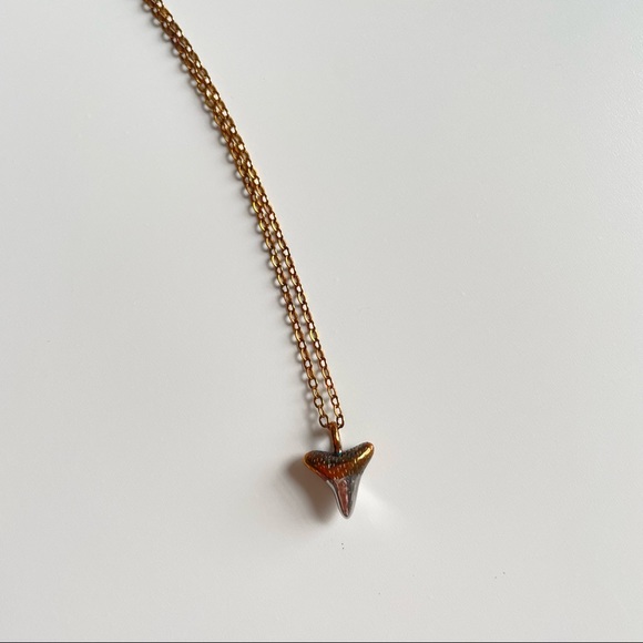 Dainty Shark Tooth Layering Necklace - Picture 5 of 5